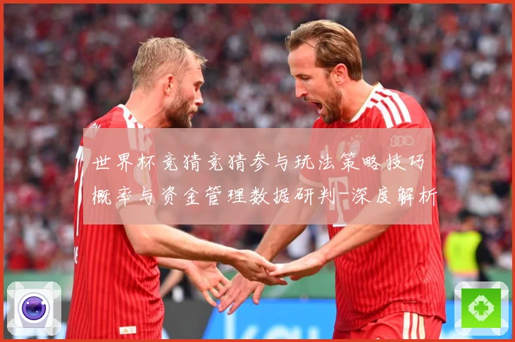 世界杯竞猜竞猜参与玩法策略技巧概率与资金管理数据研判-深度解析