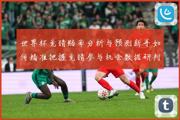 世界杯竞猜赔率分析与预测新手如何精准把握竞猜参与机会数据研判-深度解析