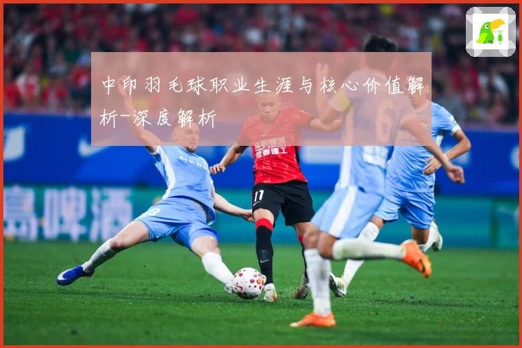 中印羽毛球职业生涯与核心价值解析-深度解析