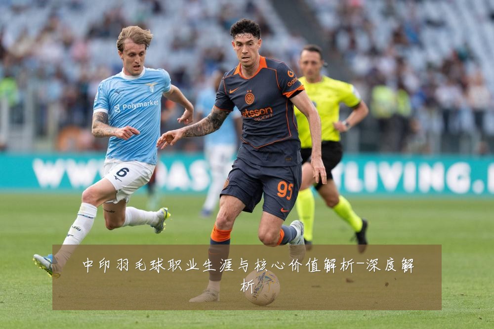 中印羽毛球职业生涯与核心价值解析-深度解析